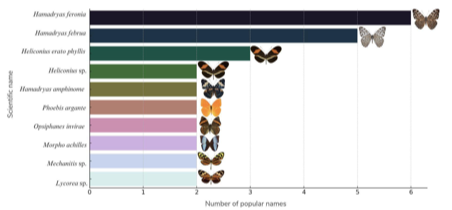 A graph showing butterflies and numbers

AI-generated content may be incorrect.