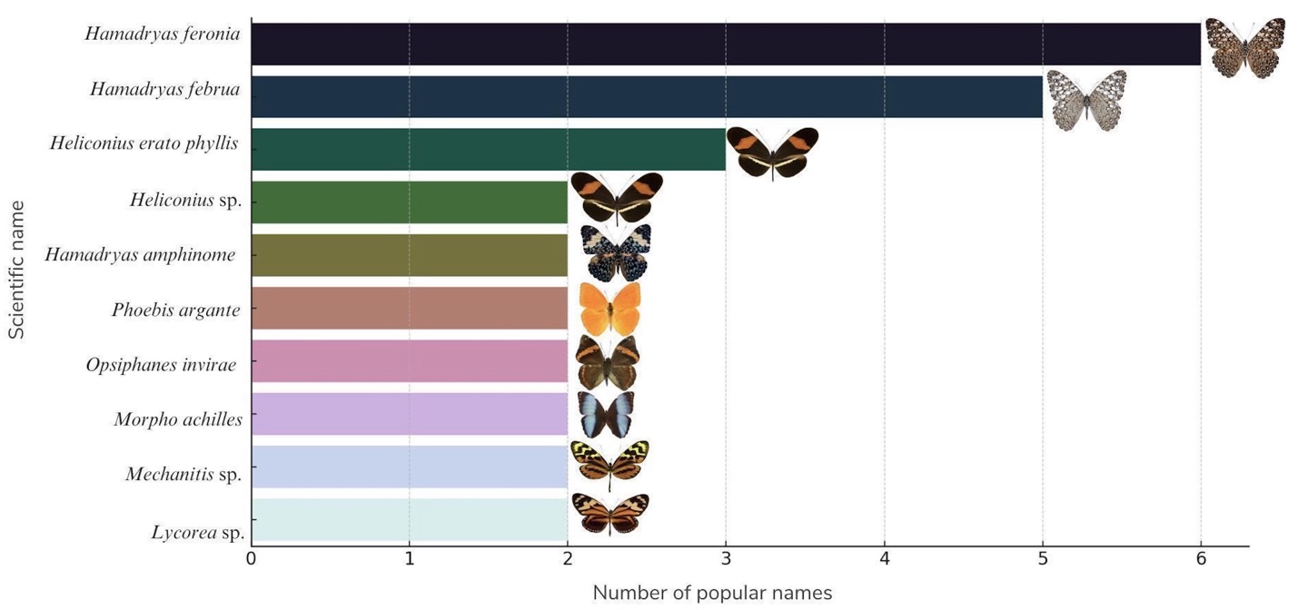A graph showing different colored butterflies

AI-generated content may be incorrect.